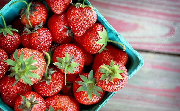 ������ԳԲ�ݮ�� ����Բ�ݮ����